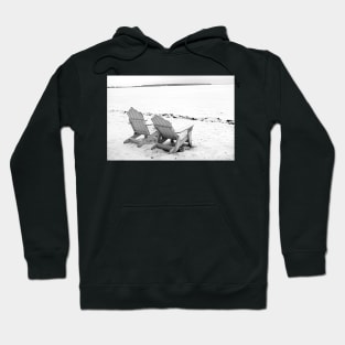 Gull Lake Winter Study 5 Hoodie